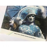 Vinilo Poly Spider Blanco Brillo 80MIC | Vinilos Poliméricos Spider | Banderas Garsan