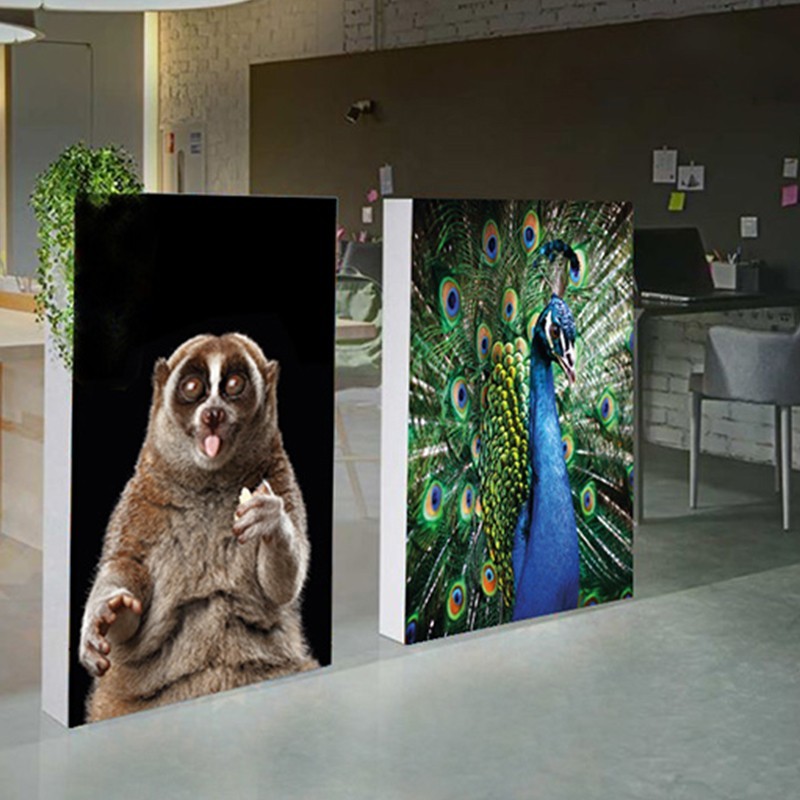 Be.light Salsa Dyelux FR 165g | Backlight | Textiles | Banderas Garsan